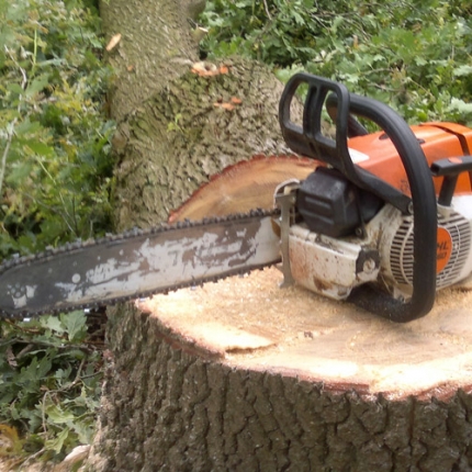 groen-zaagwerk-05.jpg