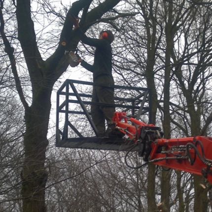 groen-zaagwerk-03.jpg